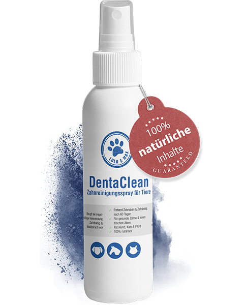 DentaClean – Zahnreinigung für Tiere - 130ml
