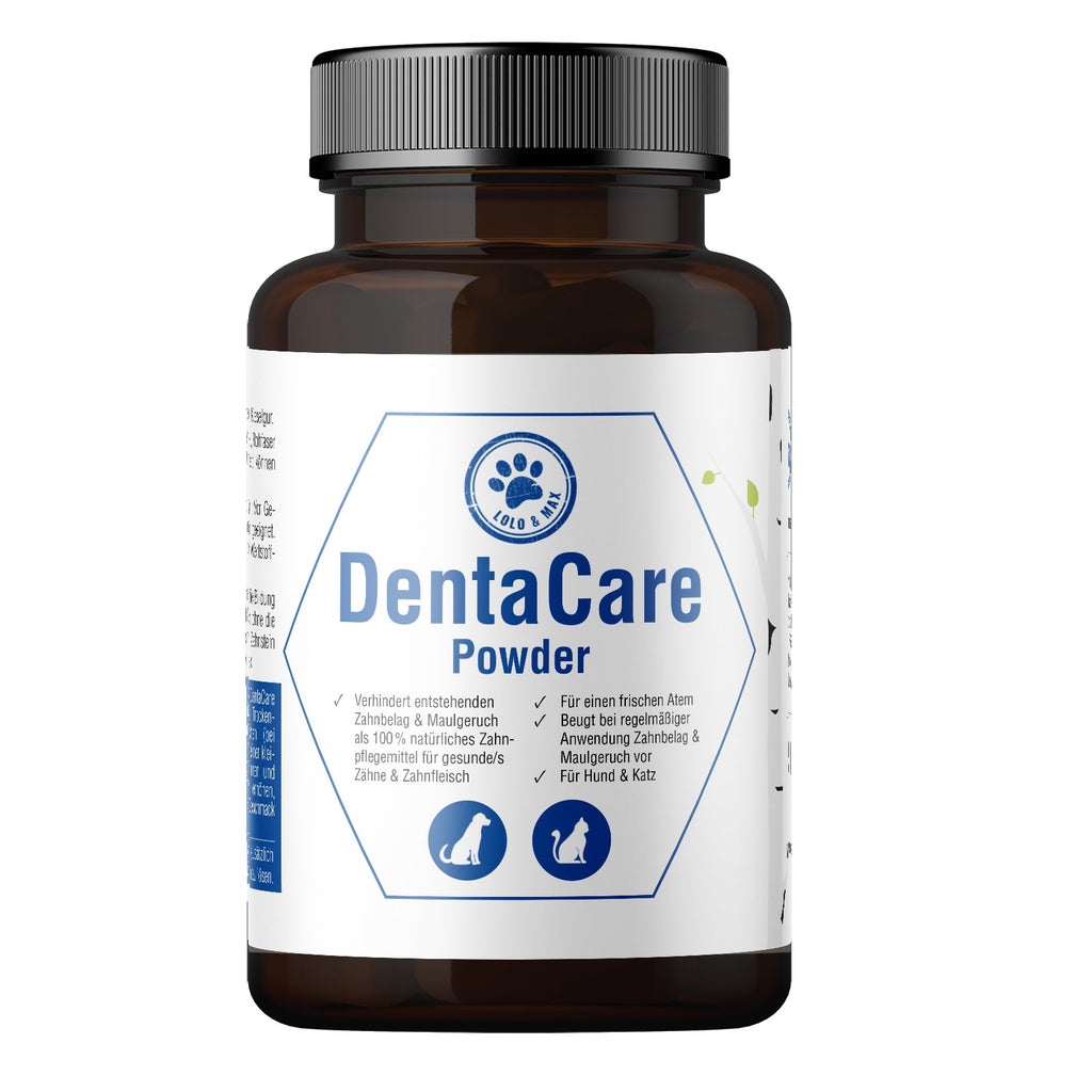 DentaCare Powder - 150g