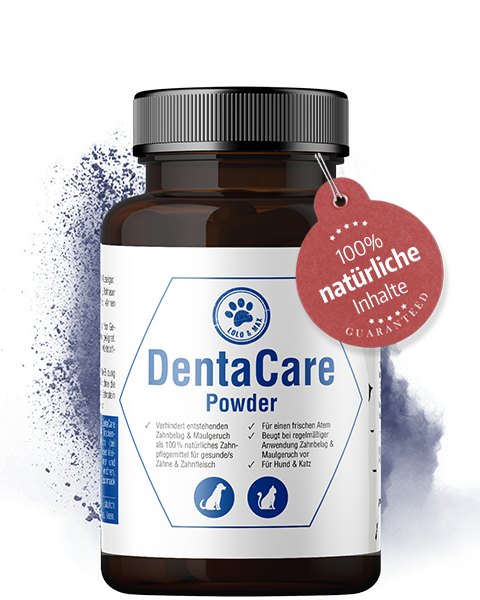 DentaCare Powder - 150g