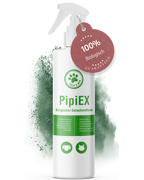 PipiEx - biologischer Tiergeruchsentferner für alle Oberflächen - 1000ml