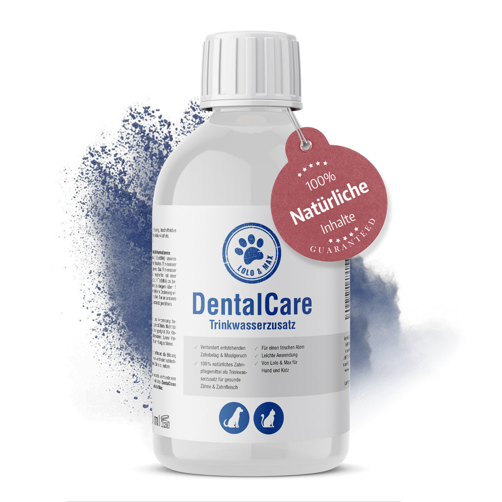 DentalCare - Trinkwasserzusatz - 470ml